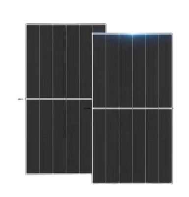 665W Trina Solar Panels TSM-DEG21C.20 Bifacial Solar Panel With Dual Glass 20.8-21.4