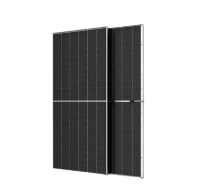 Trina Dual Glass Solar Module 645W 650W 655W 660W 665W TSM-DEG21C.20 Photovoltaic Module
